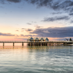 Exploring the South-West of WA: Must-Visit Attractions in Busselton