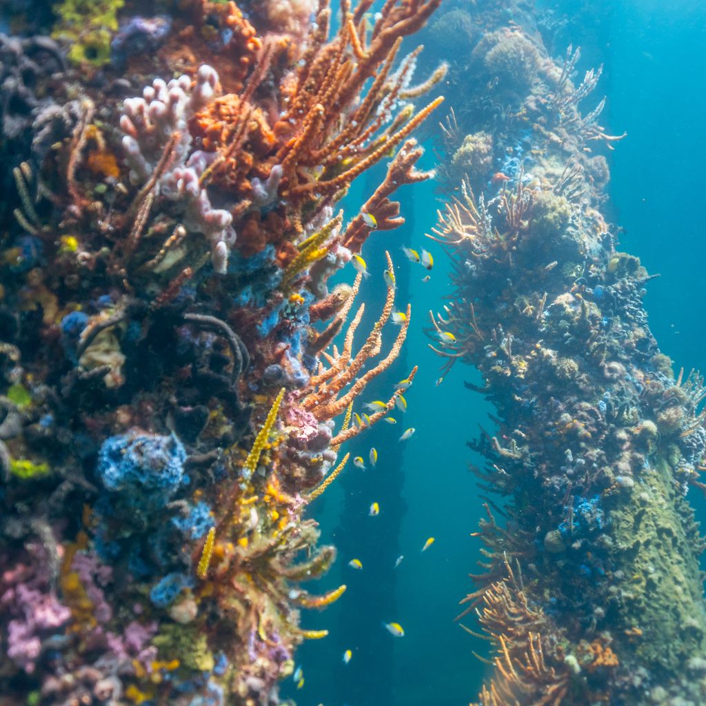 Busselton Underwater Observatory